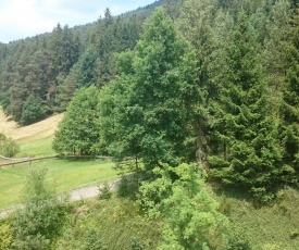 Waldblick