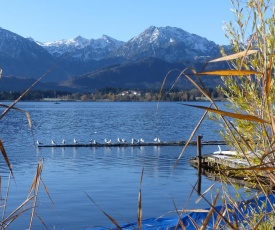 Ferienwohnung Alpenblick in Hopferau - Fuessen