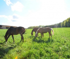 Freizeit Reitstall Schammelsdorf