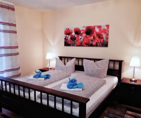 2-Zimmerapartment mit Südloggia