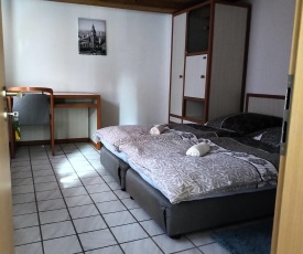 Angenehmes und günstiges Doppelzimmer in Elbingerode (Pension Harzer Fuchs)