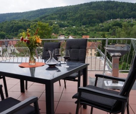 Ferienwohnungen Thüringer Wald